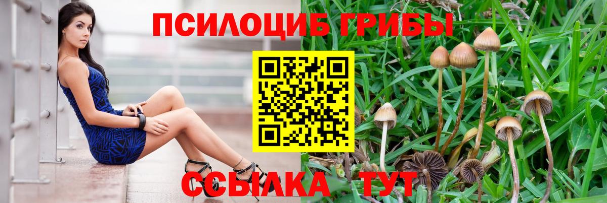 Бахчисарай  Галлюциногенные грибы мухоморы  Псилоцибиновые грибы Psilocybine cubensis  Вход с VPN 